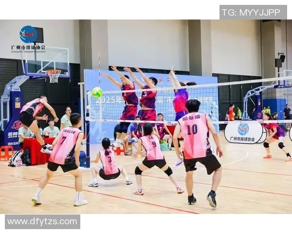 广州排球队战术实力强劲荣登全国排球战术排行榜第二位